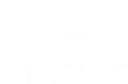 Valorant logo